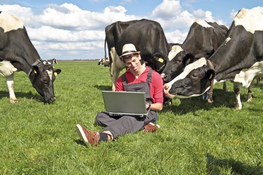 Dutch farmer with his laptop between the cows in the countryside