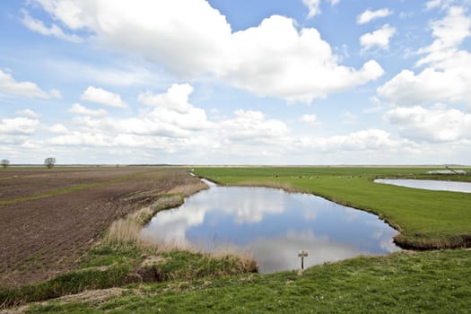 Typical dutch landscape in springtime in the Netherlands