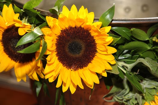 close up of sunflower as a decoration of a christening bowl