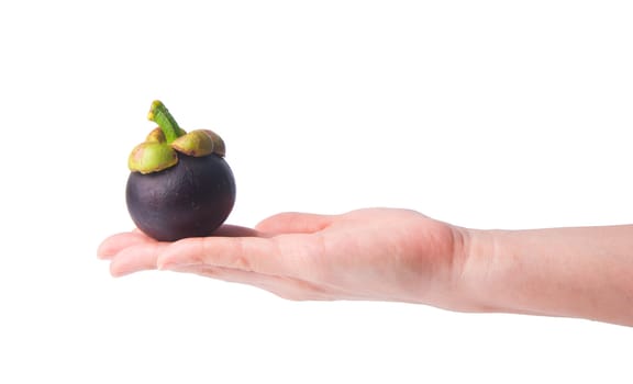 mangosteen fruit in hand on the background.