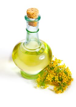 fresh rapeseed oil in a bottle, isolated on a white background