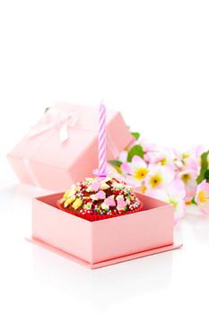 birthday / Valentine cupcake with a candle, isolated on a white background