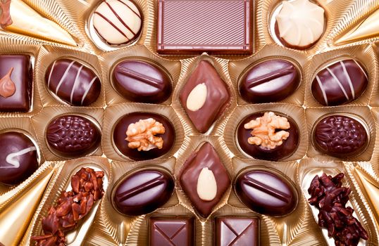 collection of different sweet chocolate pralines closeup background present sugar