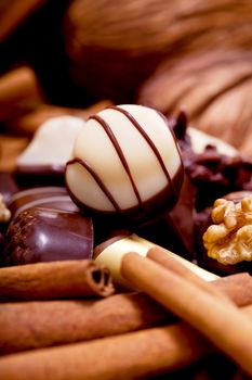 collection of different sweet chocolate pralines closeup background present sugar