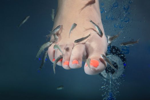 close-up of feet taking care at fish spa