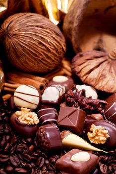 collection of different sweet chocolate pralines closeup background present sugar