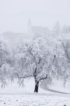 Tree and Church in a winter landscape