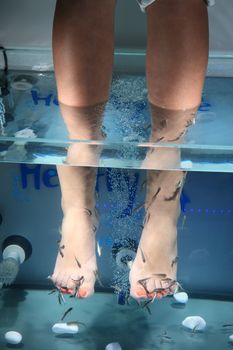 close-up of feet taking care at fish spa