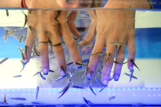 close-up of hands taking care at fish spa