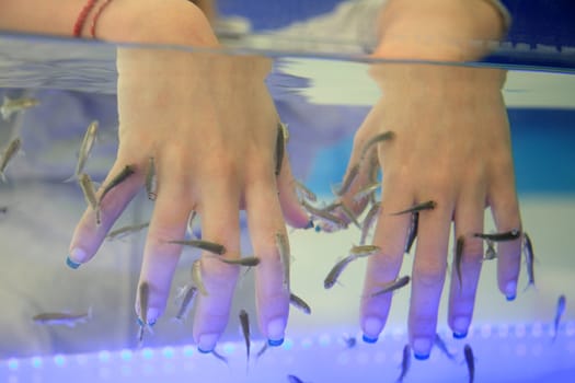 close-up of hands taking care at fish spa