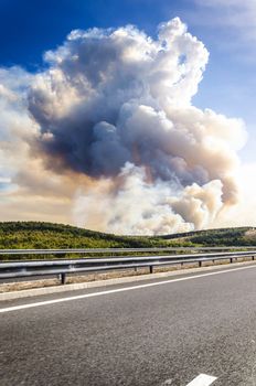 Forrest fire near 