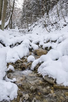 Mountain stream flowing through forest in winter time.