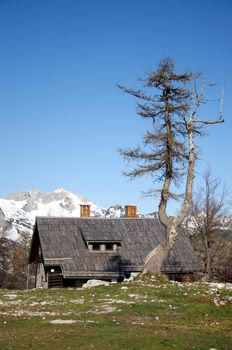 Cottage on Vogel in in early spring time, Slovenia