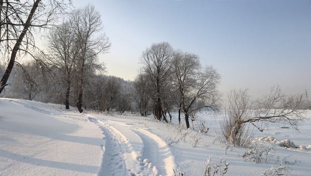 Frosty day in the beginning of January