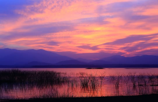 Sunset  silhouette tree on the lake