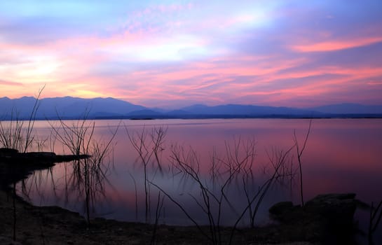 Sunset  silhouette tree on the lake