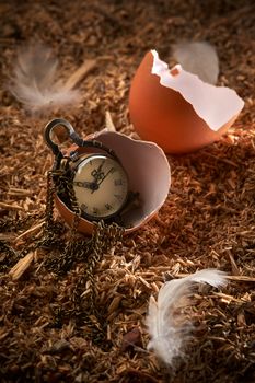 Small vintage clock in broken egg laying on sawdust and feathers