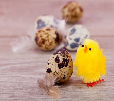 easter decoration with quail eggs on wooden background