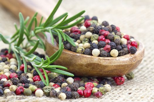 Colored peppers mix in wooden spoon and rosemary