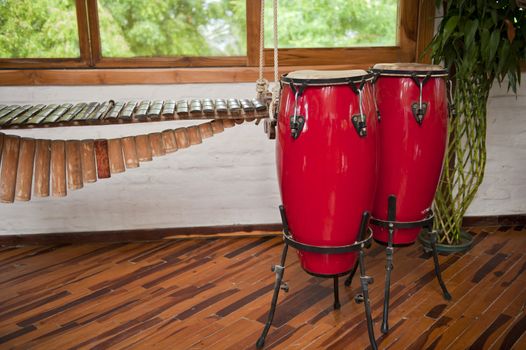 composition for display and decoration of Bongo drums and guitars