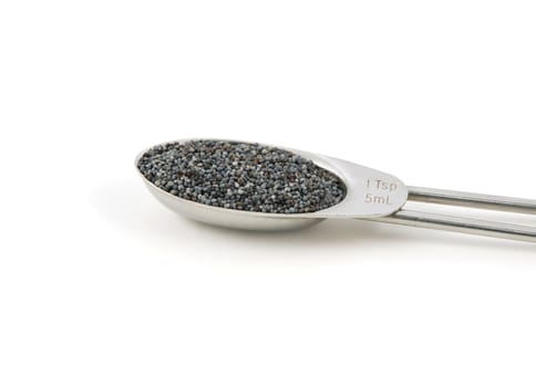 Poppy seeds measured in a metal teaspoon, isolated on a white background