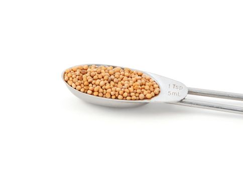 Whole mustard seeds measured in a metal teaspoon, isolated on a white background