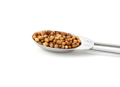 Whole coriander or cilantro seeds measured in a metal teaspoon, isolated on a white background