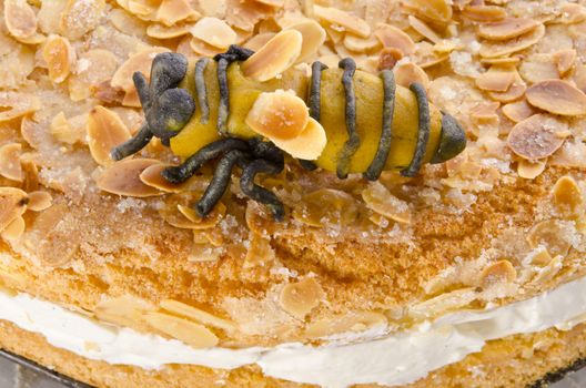 flat cake with an almond and sugar coating and a custard or cream filling