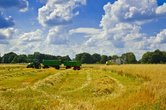 Combine harvester