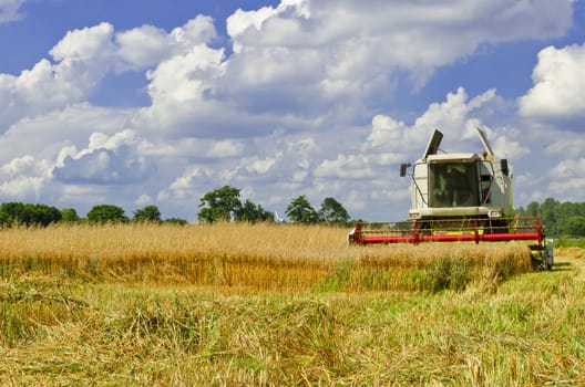 Combine harvester