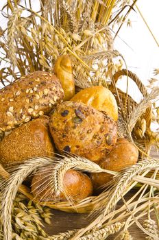 mixed bread rolls