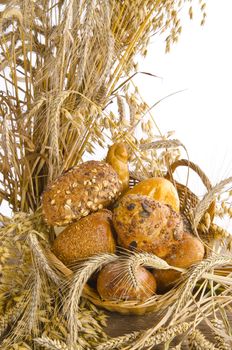 mixed bread rolls