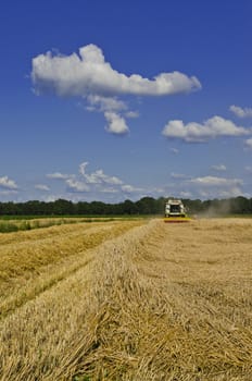 Combine harvester