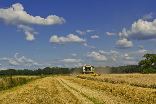 Combine harvester