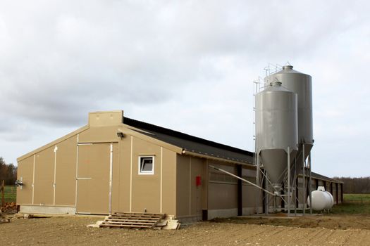 Grain silos for agricultural intensive rearing of chickens