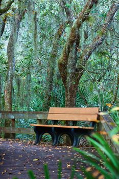 yellow wooden bench in the park 