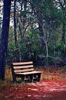 yellow wooden bench in the park 