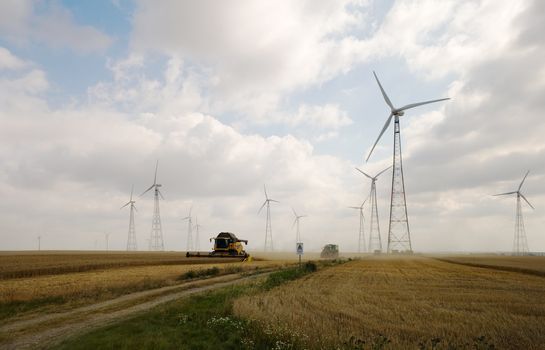 Harvesting on wheatfield with windmills