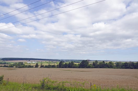 Farm field and green grass under blue sky