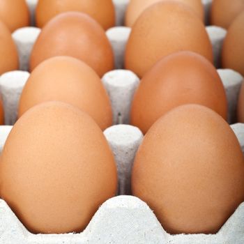 Close-up of a carton of eggs.