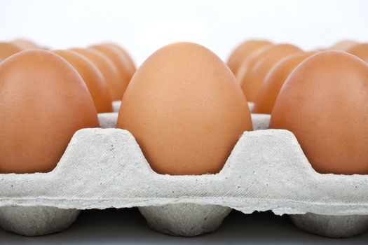 Close-up of a carton of eggs.