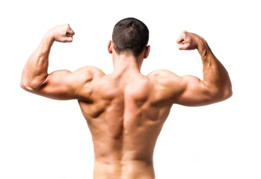 muscular male back over white background