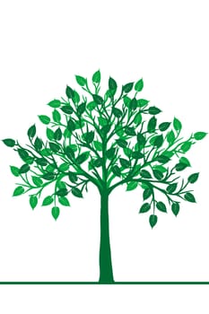 Illustration of a green tree