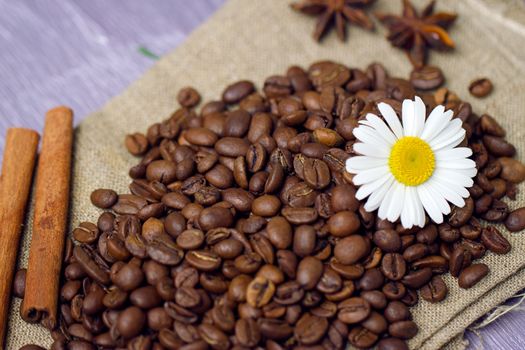Close-up of coffee beans with chamomile