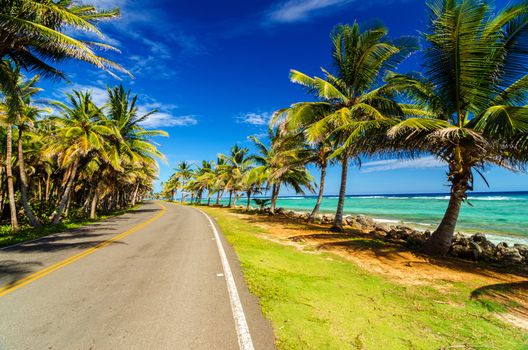Highway next to turquoise Caribbean sea and palm trees in San Andres, Colombia