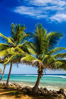 View of coast in San Andres, Colombia of blue water and palm trees