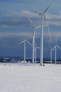 Wind Turbines in a winter field 