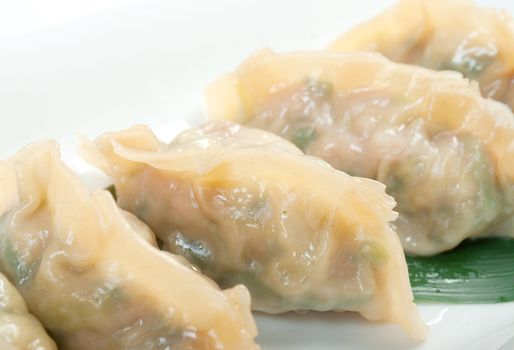 Dim-sum call Gyoza, asian tradition food.Fried Dumplings Chinese Style 