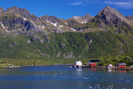 Scenic fishing village of Kalle by the fjord on Lofoten islands in Norway