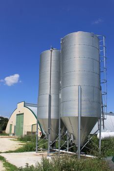 shed and grain elevators for raising chickens